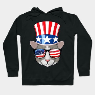 Cat Ameowica American Flag 4th Of July Hoodie